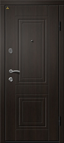 Стальная дверь Орфей-211